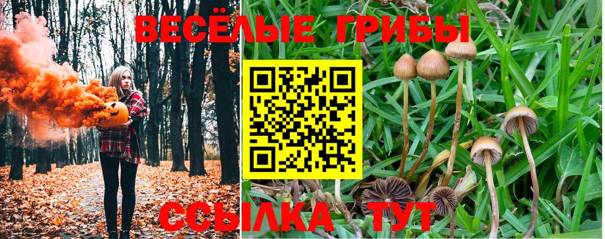 Псилоцибиновые грибы MAGIC MUSHROOMS Сызрань