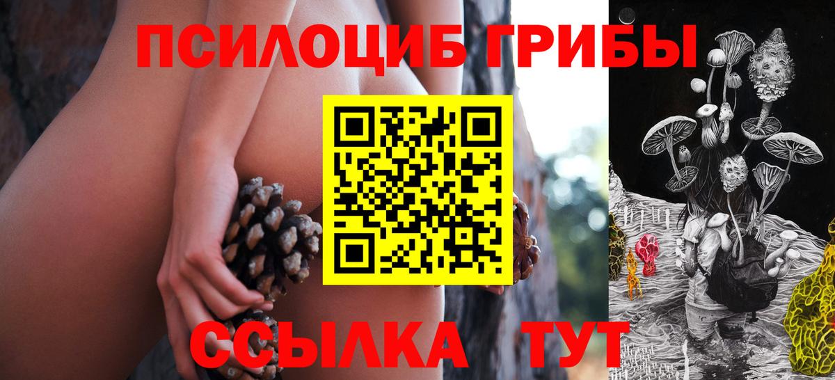 Псилоцибиновые грибы Magic Shrooms  Вход с VPN  Сызрань 